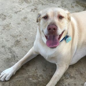 Meet your Posher, Dustin